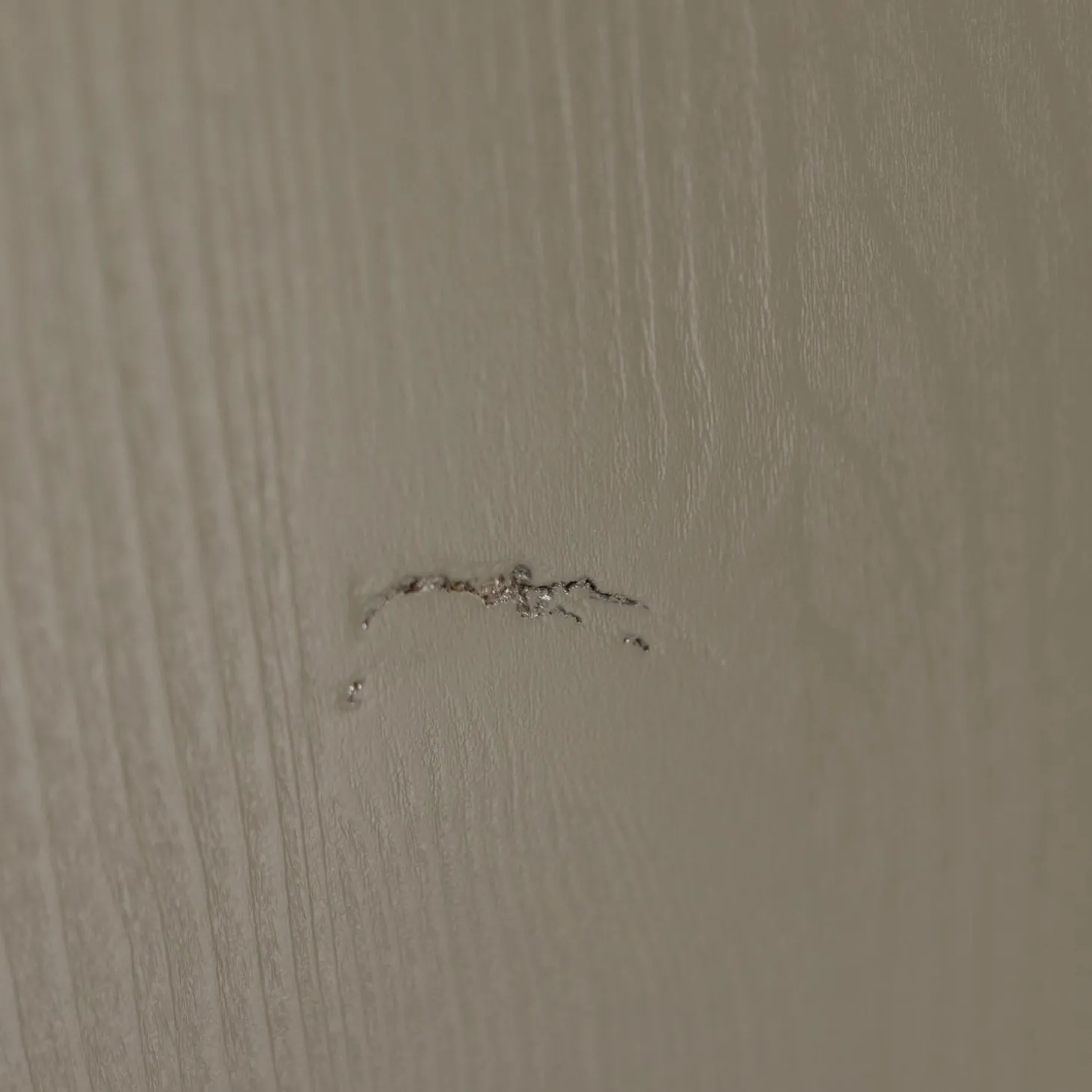 bobby-opbergkist-grenen-forest-NekVzwvP-9.webp Sale WOOOD Bobby Opbergkist Grenen Forest