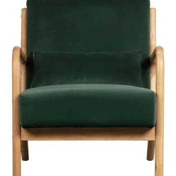 Fashion WOOOD Mark Fauteuil Velvet Fles Groen