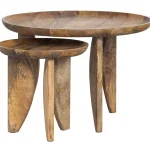 New WOOOD Set V 2 - High Heels Bijzettafels Mango Hout Naturel