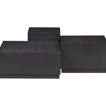 Best WOOOD Set V 3 - Pim Bijzettafels Hout Zwart