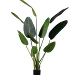 Outlet WOOOD Strelitzia Kunstplant Groen 164 Cm